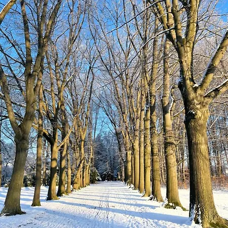 An Der Buergeheide * Finsterwalde