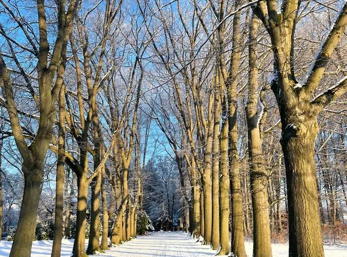 An Der Buergeheide * Finsterwalde